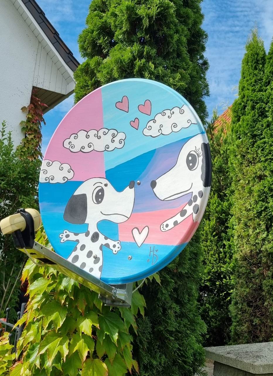 Besonders gestaltete Satellitenantenne